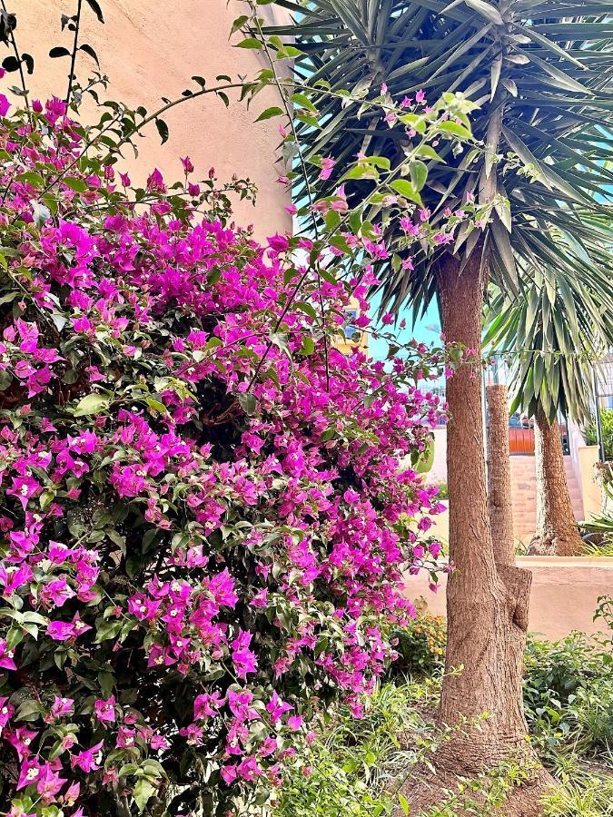 Art-Apart Caronte In Riviera Del Sol, Mijas Costa Sitio de Calahonda المظهر الخارجي الصورة